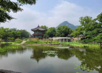 Corée du Sud : De Séoul à Busan