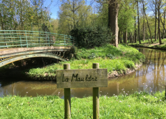 La vie d'artiste : Cinéma