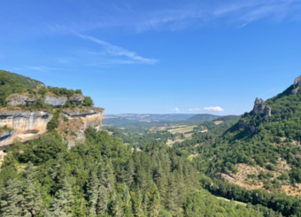 Au cœur de la vie sauvage