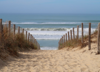 Perf Rugby, Beach and Surf by le Stade Toulousain