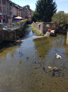 Au cœur de la vie sauvage