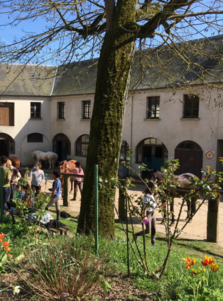 La vie d'artiste : Cinéma