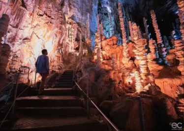 Au cœur de la vie sauvage