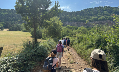 Au cœur de la vie sauvage