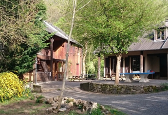 Au cœur de la vie sauvage