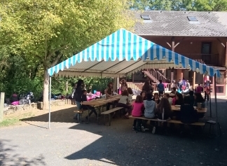 Au cœur de la vie sauvage